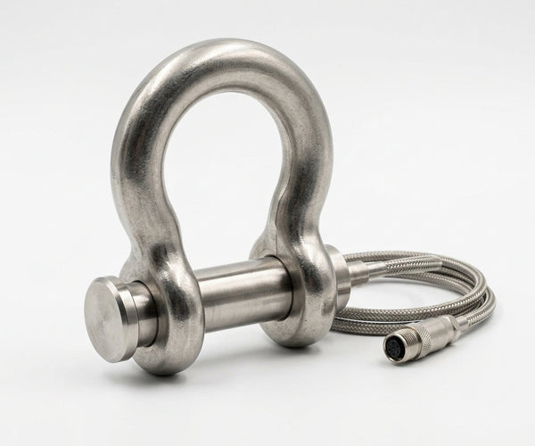 Shackle Load Cell: Powerful High-Precision Lifting Measurement for Saf ...