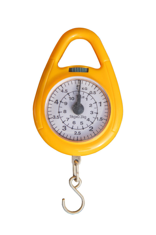 Hoist Weight Scale – Smart Load Monitoring for Lifting & Material Handling