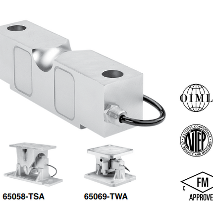 Model 65058 Double-Ended Shear Beam Load Cell